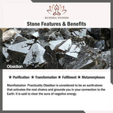 Buddha Stones "Blessings of Protection to Attract Wealth" PiXiu Bracelet Includes Gift Message Card
