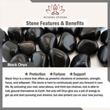 Buddha Stones Tibetan Nine-Eye Dzi Bead Black Onyx Wealth Protection Bracelet