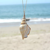 Buddha Stones Natural Shankha Conch Shell Seashell Lucky Necklace Pendant