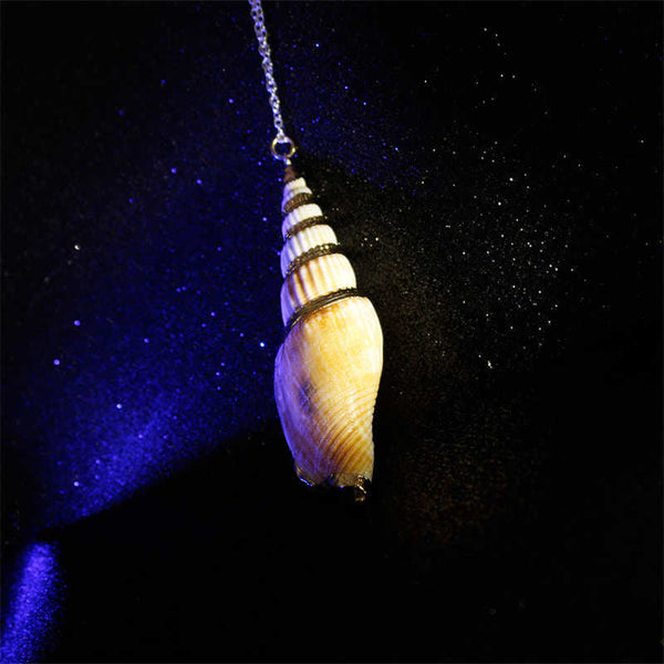 Buddha Stones Natural Shankha Conch Shell Seashell Lucky Necklace Pendant