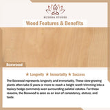 Buddha Stones Tibetan Rosewood Boxwood Dragon Cure Courage Car Decoration (Extra 30% Off | USE CODE: FS30)