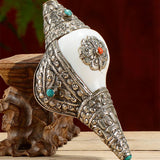 Tibetan Natural Shankha Conch Shell Seashell Wealth Lucky Home Decoration