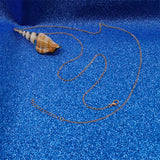 Buddha Stones Natural Shankha Conch Shell Seashell Lucky Necklace Pendant